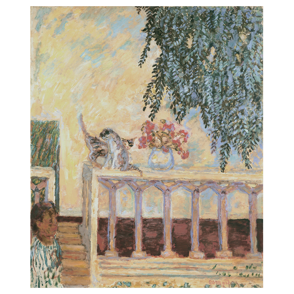 Stampa su tela - Chats Sur La Balustrade - Pierre Bonnard - Quadro su Tela Deco